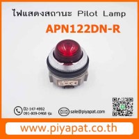 APN122D- R รูปโชว์